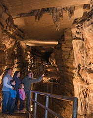 Forestville/Mystery Cave State Park Mystery Cave:
An Adventure for Kids and Adults Alike